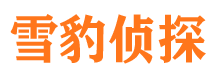 石屏市侦探公司